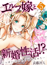 エルフ嫁と甘々ドキドキ新婚性活！？-いっぱい注がれて溢れちゃう…-(5)
