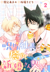 呪われ社長と癒やしの新婚さん契約 【分冊版】 2話
