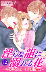 淫らな龍に溺れる花～ヤクザとエリートに奪われて～ 12