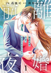 comic Berry’s離婚前夜～今宵、あなたを忘れます～