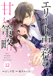 comic Berry’sエリート専務の甘い策略12巻