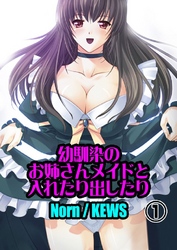 幼馴染のお姉さんメイドと入れたり出したり 1巻