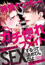 純情ヤンキー、ガチ惚れファイト【電子限定かきおろし漫画付】