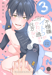 不機嫌イトコがかわい過ぎて仕方ない side直樹3【単行本版】【電子限定特典付き】