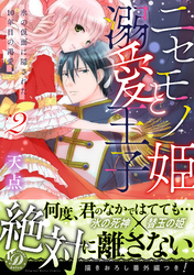 ニセモノ姫と溺愛王子～氷の仮面に隠された10年目の渇愛～２