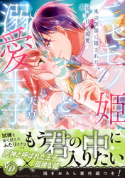 ニセモノ姫と溺愛王子～氷の仮面に隠された10年目の渇愛～４