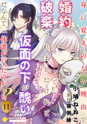 身に覚えのない理由で婚約破棄されましたけれど、仮面の下が醜いだなんて、一体誰が言ったのかしら？（11）