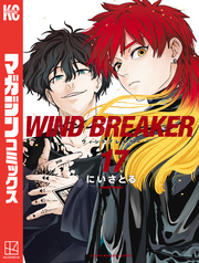 ＷＩＮＤ　ＢＲＥＡＫＥＲ（１７）