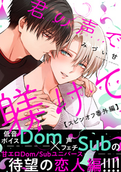 君の声で躾けて【スピンオフ番外編】