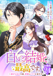 白い結婚、最高です。～虐げられた令嬢、新妻とメイドを兼任中～【分冊版】24