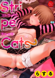 Stripe Cats