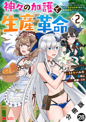 神々の加護で生産革命～異世界の片隅でまったりスローライフしてたら、なぜか多彩な人材が集まって最強国家ができてました～（コミック） 分冊版 28