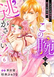 この腕から逃がさない！～王子さまは強気に蜜月計画中～【分冊版】6