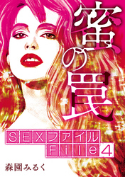 SEXファイル・蜜の罠 File４復讐