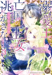 溺愛王は亡国の王女を逃がさない～ふしだらな蜜月と高潔の契り～【分冊版】3