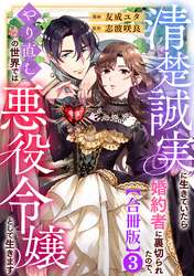 清楚誠実に生きていたら婚約者に裏切られたので、やり直しの世界では悪役令嬢として生きます【合冊版】3