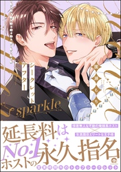 シークレットアフターsparkle【電子限定かきおろし漫画付】