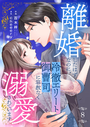 離婚したはずなのに、冷徹エリート御曹司に容赦なく溺愛されています８