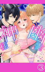 神様と幽霊が私にエッチなことしてきます！3