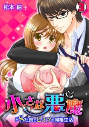 小さな悪魔～ドS社長とヒミツの同棲生活～(3)