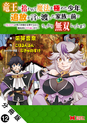 竜王に拾われて魔法を極めた少年、追放を言い渡した家族の前でうっかり無双してしまう～兄上たちが僕の仲間を攻撃するなら、徹底的にやり返します～（コミック） 分冊版 12