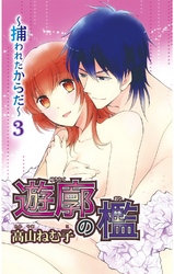 遊廓の檻 ～捕われたからだ～3