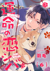 運命の恋シバ 第6話