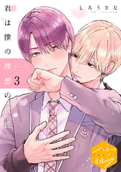 君は僕の理想の彼氏　分冊版（３）