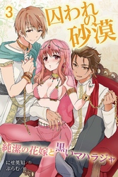 囚われの砂漠～純潔の花嫁と黒いマハラジャ 3