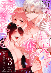 双愛のエデン～堕ちても昇天（イ）っても奪い愛される～(3)