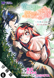 竜王様の溺愛花嫁～生贄から始まる愛され新婚生活～（コミック） 分冊版 6