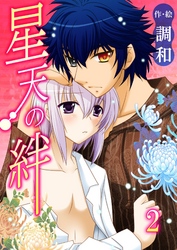 星天の絆（きずな） 2