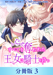 すべてを奪われた王女は騎士を待つ【分冊版】３