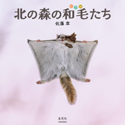 北の森の和毛たち