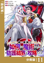 彼の魔族は如何なる魔術をもって防護結界を攻略したか【分冊版】１１