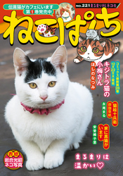 ねこぱんちNo.221 　まるまり秋ネコ号
