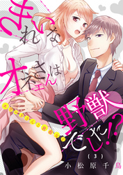 きれいなオネエさんは野獣でした！？～エリートさんと社畜女子(3)