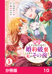 婚約していないのに婚約破棄された私のその後【分冊版】10