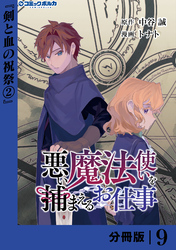 悪い魔法使いを捕まえるお仕事【分冊版】９
