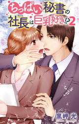 ちっぱい秘書の社長は巨乳好き！？ 2