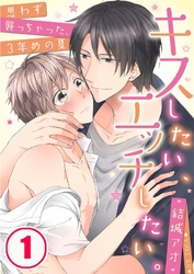 キスしたい、エッチしたい。～思わず襲っちゃった、３年めの夏