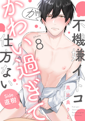 不機嫌イトコがかわい過ぎて仕方ない(8)　side直樹