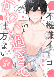 不機嫌イトコがかわい過ぎて仕方ない(17)　side直樹